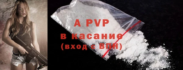 PSILOCYBIN Кодинск