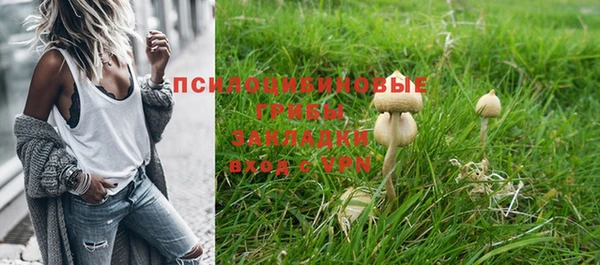 PSILOCYBIN Кодинск