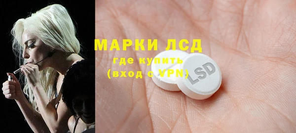 PSILOCYBIN Кодинск