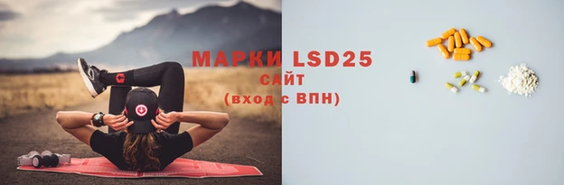 PSILOCYBIN Кодинск