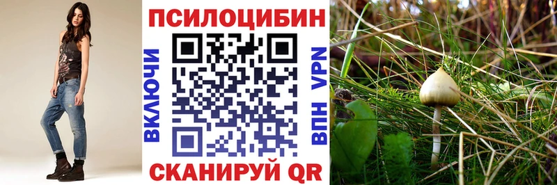 Псилоцибиновые грибы ЛСД  Купить где  Байкальск 